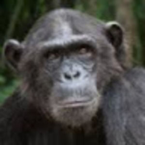 Meet your Posher, Noah